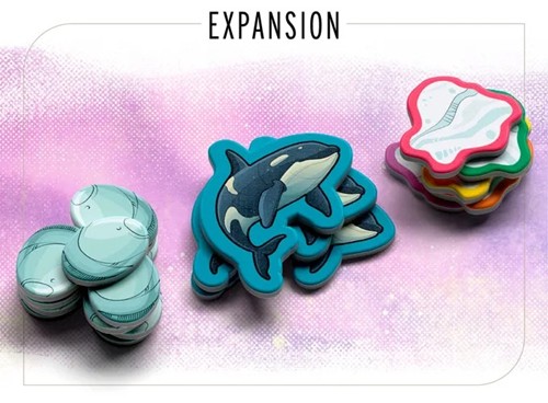 ALLGMEWADX Waddle Board Game: Orcas And Ice Floes Expansion published by Allplay