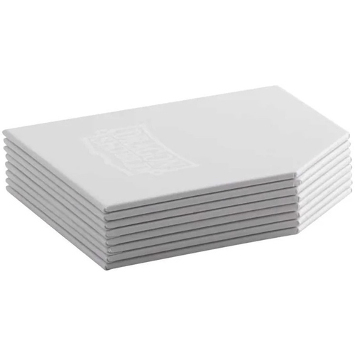 2!ARCT33711 8 x Dragon Shield Card Dividers - White published by Arcane Tinmen