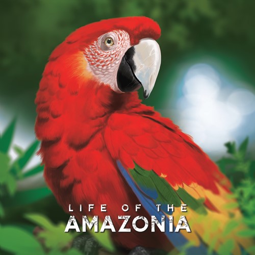 Life Of The Amazonia Board Game