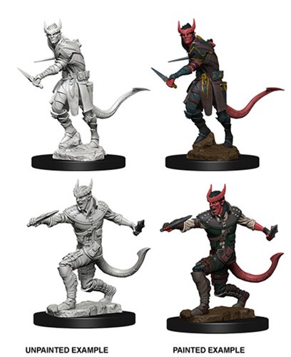 WZK73338S Dungeons And Dragons Nolzur's Marvelous Unpainted Minis: Tiefling Male Rogue published by WizKids Games