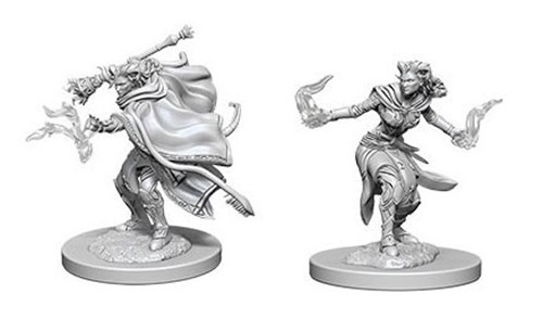 WZK73389S Dungeons And Dragons Nolzur's Marvelous Unpainted Minis: Tiefling Female Warlock published by WizKids Games