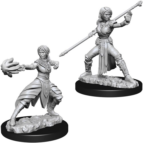 WZK73839S Dungeons And Dragons Nolzur's Marvelous Unpainted Minis: Half-Elf Female Monk published by WizKids Games