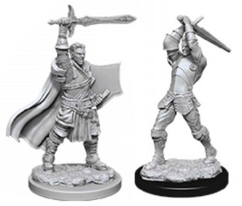 WZK90060S Dungeons And Dragons Nolzur's Marvelous Unpainted Minis: Human Male Paladin 2 published by WizKids Games