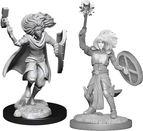 Dungeons And Dragons Nolzur's Marvelous Unpainted Minis: Changeling Cleric
