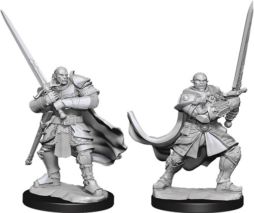 Dungeons And Dragons Nolzur's Marvelous Unpainted Minis: Half-Orc Paladin Male