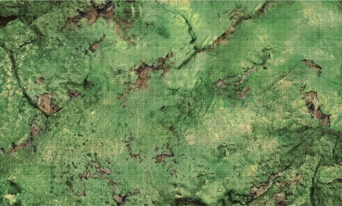 2!WZK96200 Dungeons And Dragons: Bluffs Battle Mat published by WizKids Games